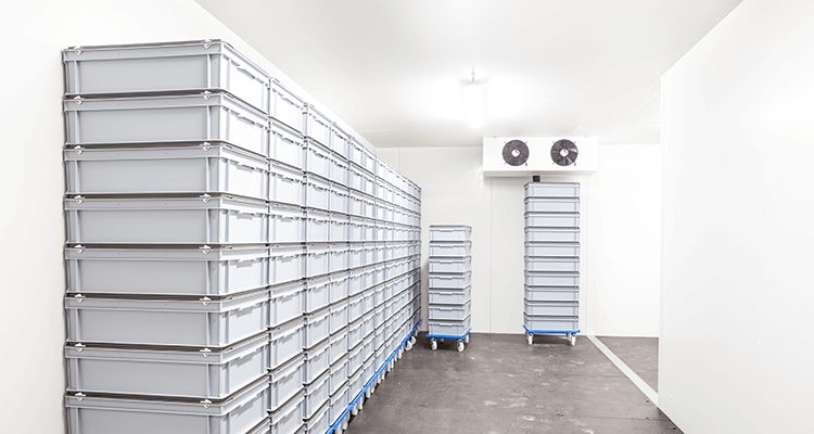 Interior de câmara frigorífica com estantes moduladas em aço inox